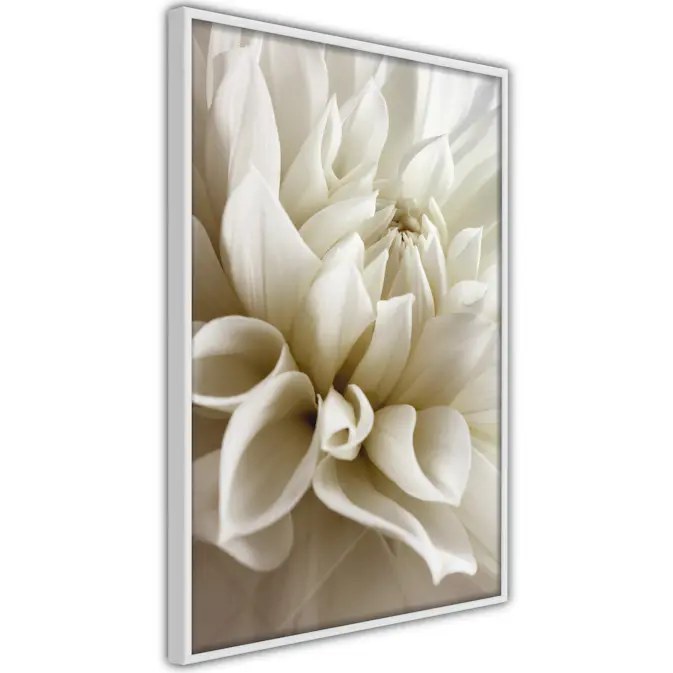 Poster Artgeist Affisch Beautiful Dahlia