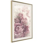 Poster Artgeist Affisch Delicate Peonies