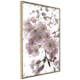 Poster Artgeist Affisch Cherry Blossoms