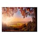 Fototapet Arkiio Autumn Delight