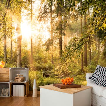 Fototapet Arkiio Självhäftande Mystic Of The Morning