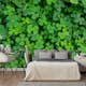 Fototapet Arkiio Green Clover