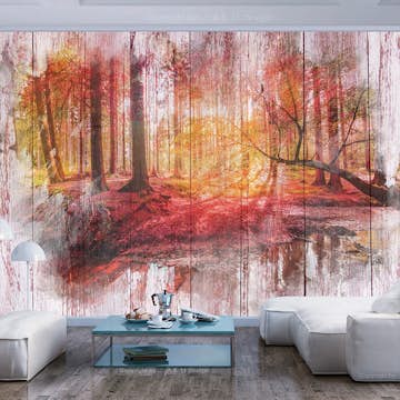 Fototapet Arkiio Självhäftande Självhäftande Autumnal Forest A3-SFT1622samA