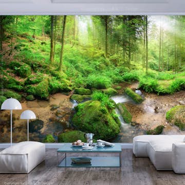 Fototapet Arkiio Självhäftande Humid Forest