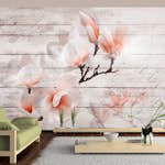 Fototapet Arkiio Subtlety Of The Magnolia