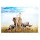 Fototapet Arkiio Fauna of Africa