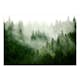 Fototapet Arkiio Mountain Forest (Green) Självhäftande