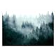 Fototapet Arkiio Mountain Forest (Dark Green)