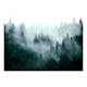 Fototapet Arkiio Mountain Forest (Dark Green) Självhäftande