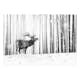 Fototapet Arkiio Deer in the Snow (Black and White)