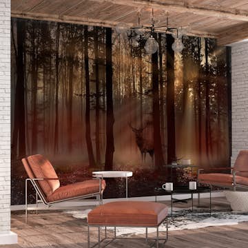 Fototapet Arkiio Mystical Forest Arkiio First Variant