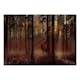 Fototapet Arkiio Mystical Forest - First Variant