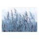 Fototapet Arkiio Tall Grasses - Grey