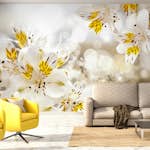 Fototapet Arkiio Sunny Alstroemeria