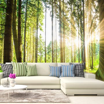 Fototapet Arkiio Självhäftande Forest Tales