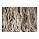 Fototapet Arkiio Buddha's Tree