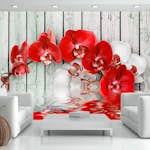 Fototapet Arkiio Ruby Orchid