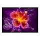 Fototapet Arkiio Fiery Flower In Purple