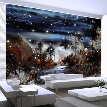 Fototapet Arkiio Night In The Forest