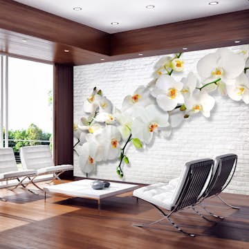 Fototapet Arkiio The Urban Orchid