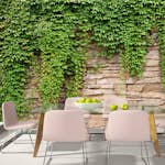 Fototapet Arkiio Ivy Wall