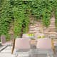 Fototapet Arkiio Ivy Wall