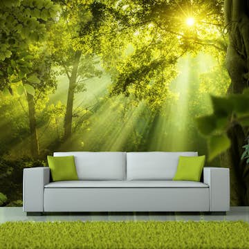 Fototapet Arkiio In A Secret Forest