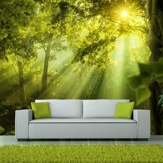 Fototapet Arkiio In A Secret Forest