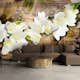 Fototapet Arkiio Freesia On Wood