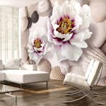 Fototapet Arkiio Flowers And Shells