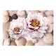 Fototapet Arkiio Flowers And Shells