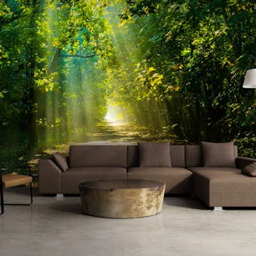 Fototapet Arkiio Självhäftande Road In Sunlight