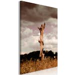 Tavla Arkiio Memory of Heaven