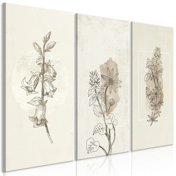 Tavla Arkiio Herbarium