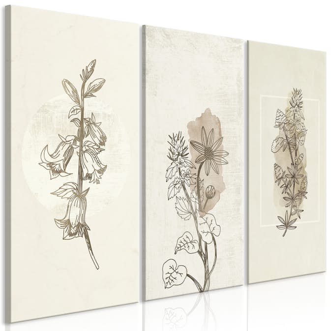 Tavla Arkiio Herbarium