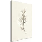 Tavla Arkiio Field Pattern