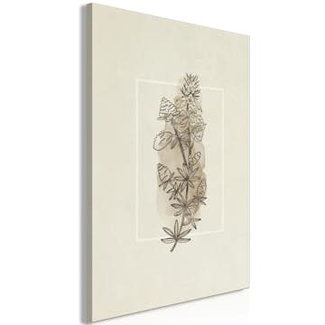 Tavla Arkiio Field Sketch