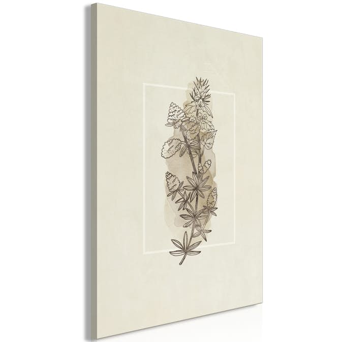 Tavla Arkiio Field Sketch