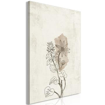 Tavla Arkiio Outline of Nature