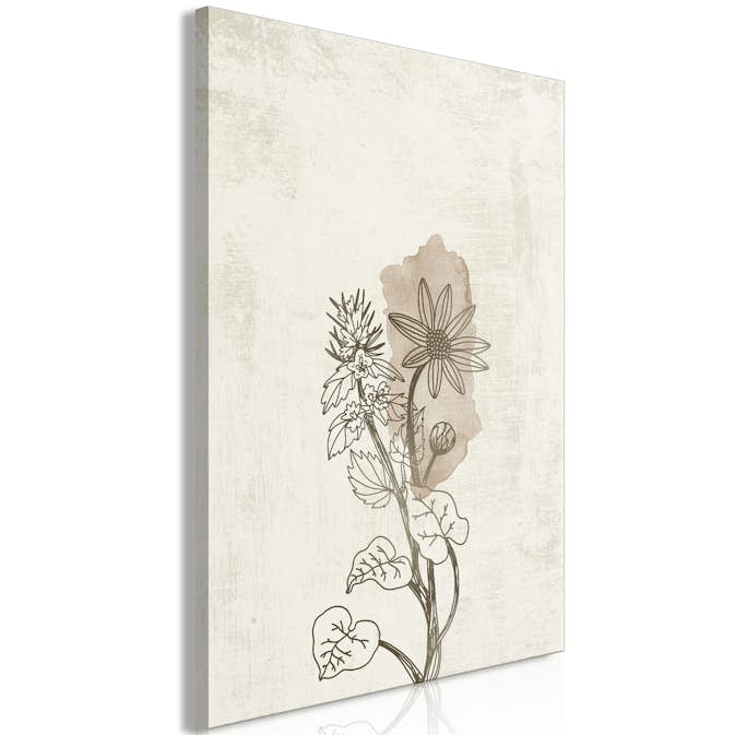 Tavla Arkiio Outline of Nature