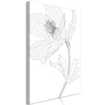 Tavla Arkiio Spring Sketch