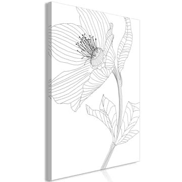 Tavla Arkiio Spring Sketch