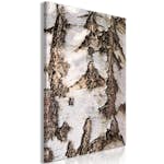 Tavla Arkiio Beautiful Structure