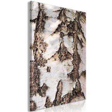 Tavla Arkiio Beautiful Structure