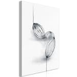 Tavla Arkiio Cocoa Beans