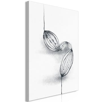 Tavla Arkiio Cocoa Beans