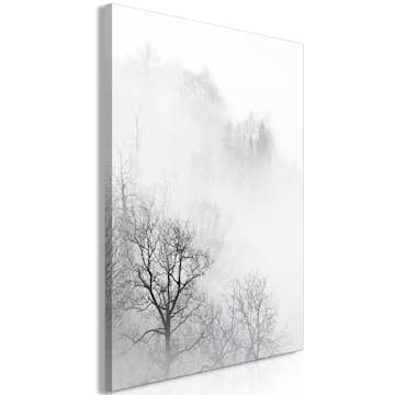 Tavla Arkiio Trees In The Fog