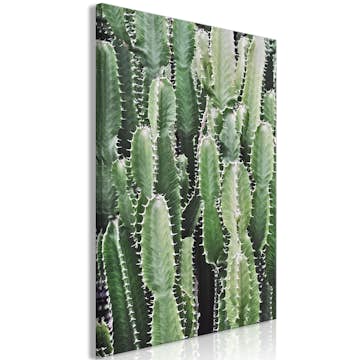Tavla Arkiio Cactus Garden