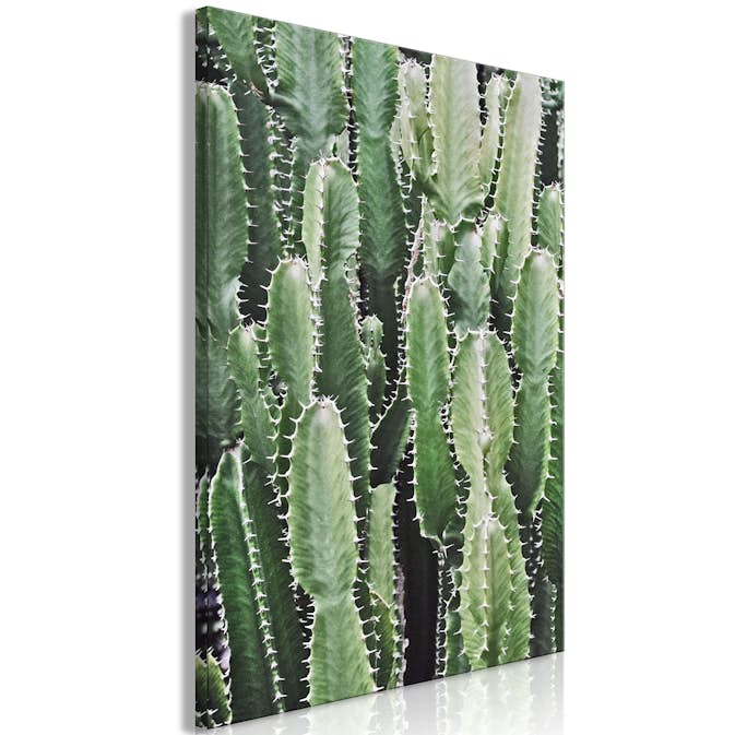 Tavla Arkiio Cactus Garden