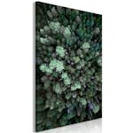 Tavla Arkiio Flying Over Forest